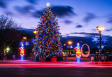 Top 12 Most Magical Things to Do in Christmas Michigan