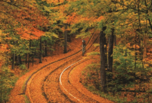 Discover 27 Best Fall Things to Do in Michigan (Activities and Events)