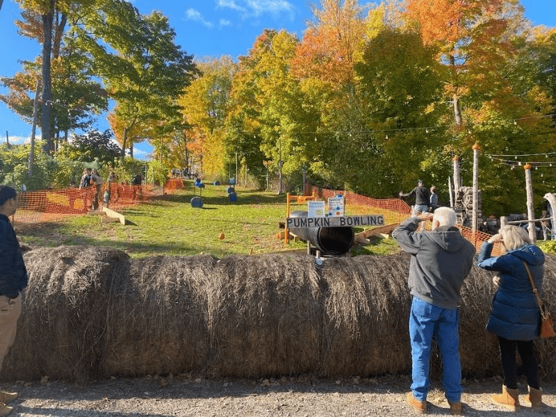 Fall Festivals in Michigan