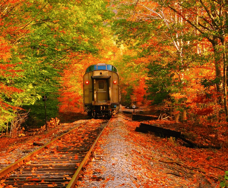 Fall Color Train Ride