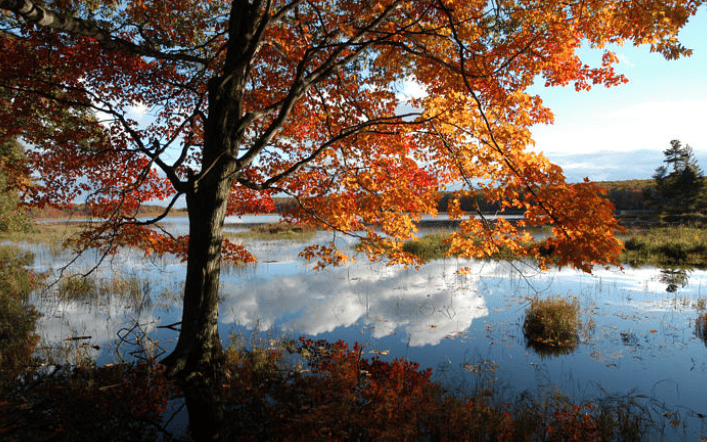 Beaver Island in Fall