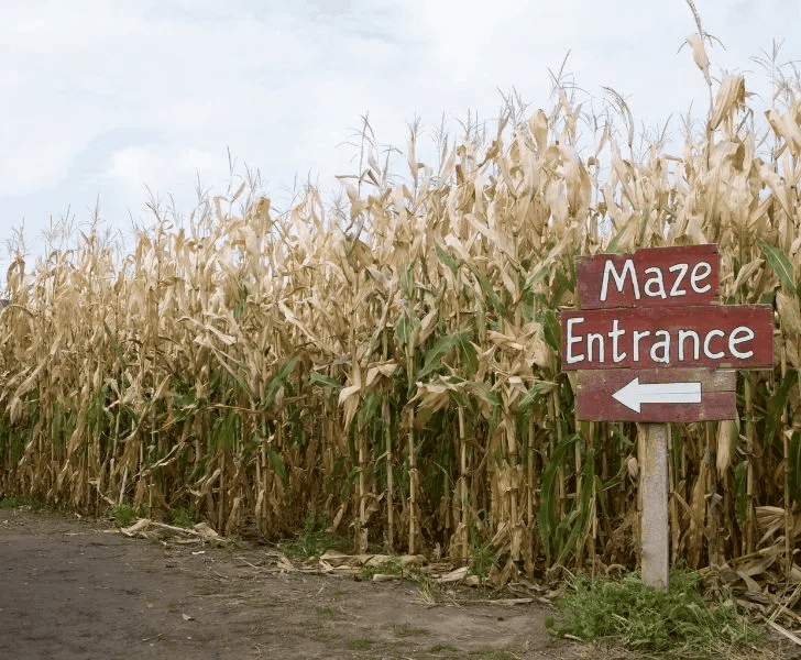 Corn Mazes in Michigan
