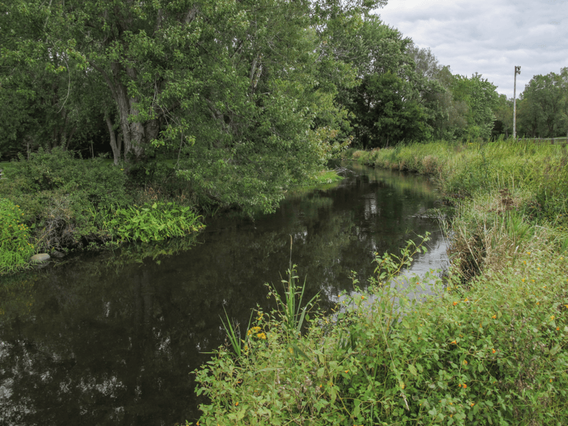 McCoy's Creek