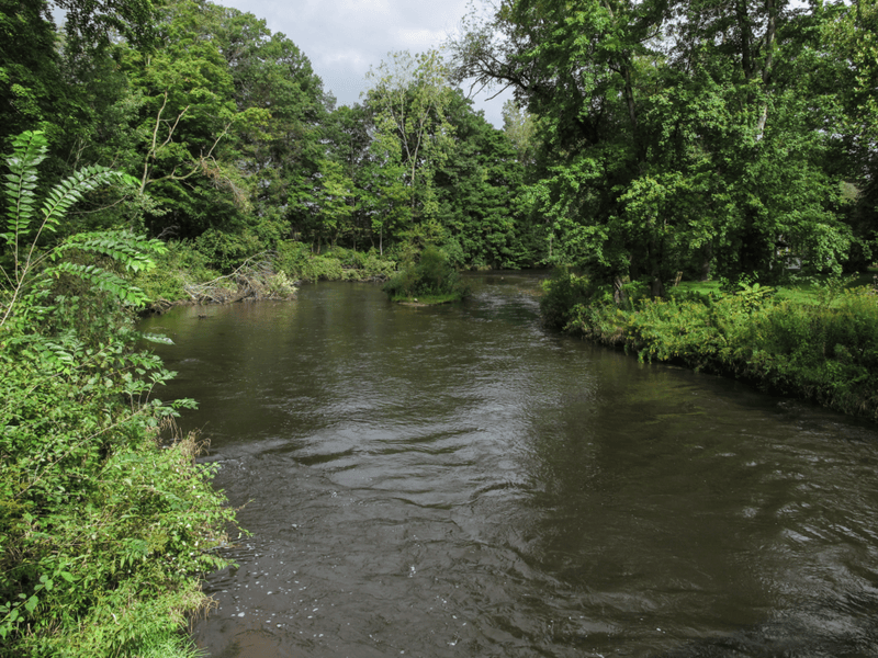 Dowagiac River