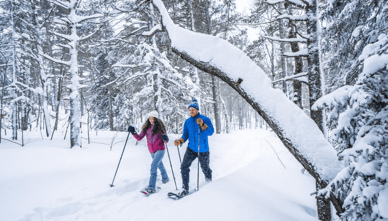 Things to Do in Michigan in Winter