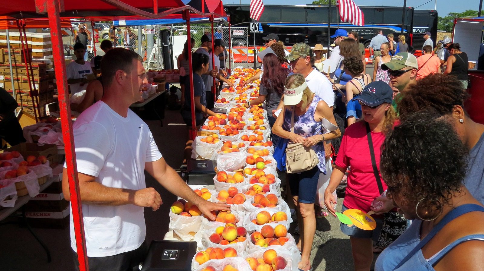 peach festival in michigan